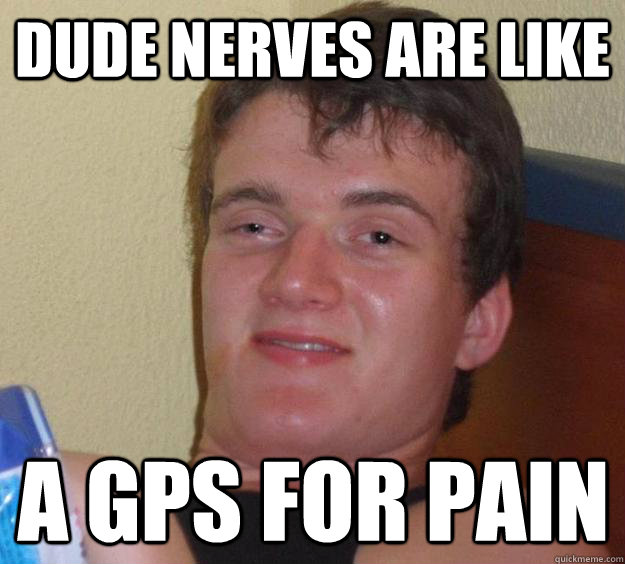 dude nerves are like a gps for pain - dude nerves are like a gps for pain  10 Guy