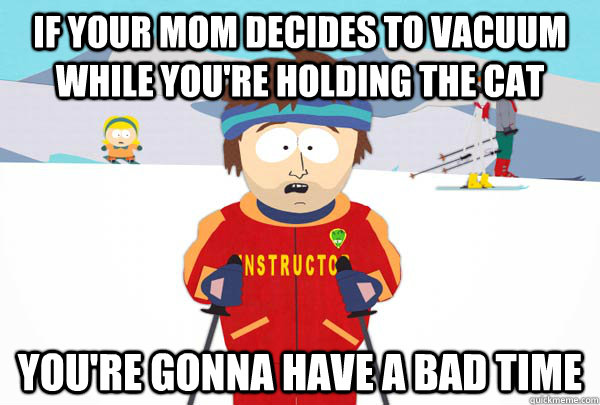 If your mom decides to vacuum while you're holding the cat You're gonna have a bad time  Super Cool Ski Instructor