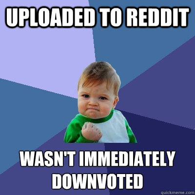 Uploaded to reddit wasn't immediately downvoted  Success Kid