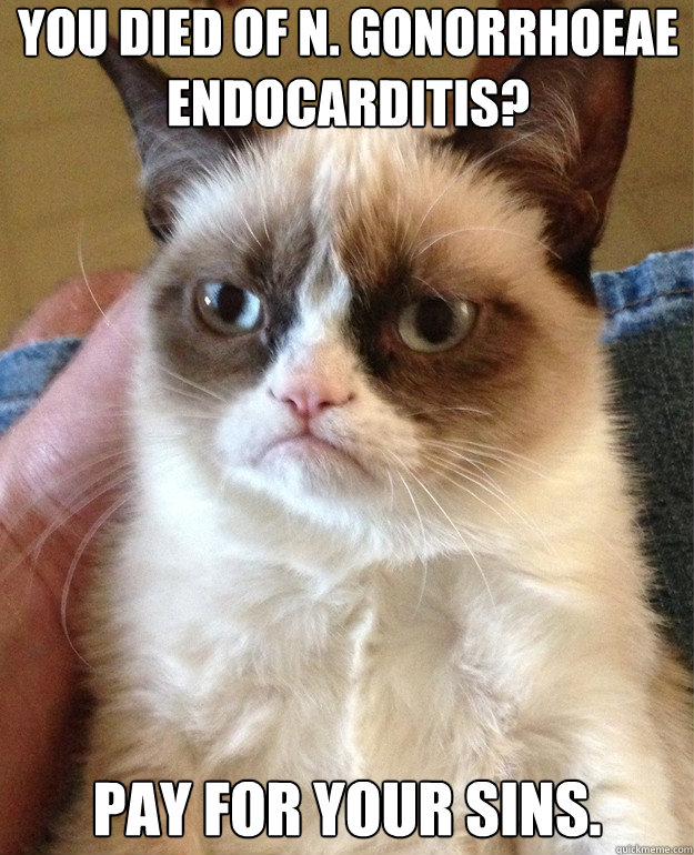 You died of N. gonorrhoeae endocarditis? Pay for your sins. - You died of N. gonorrhoeae endocarditis? Pay for your sins.  Misc