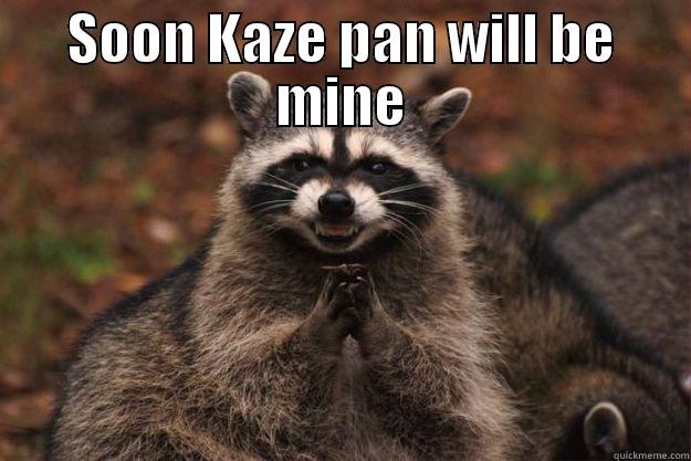 SOON KAZE PAN WILL BE MINE  Evil Plotting Raccoon