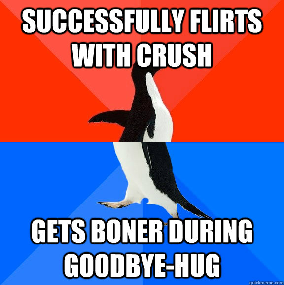 successfully flirts with crush gets boner during goodbye-hug  Socially Awesome Awkward Penguin