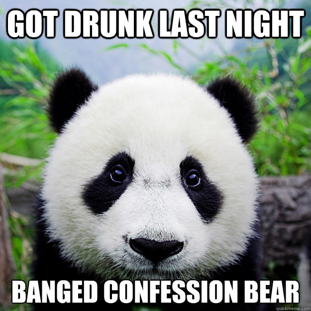 Got drunk last night Banged confession bear  sad party panda