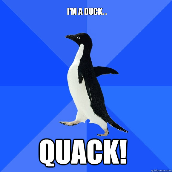i'm a duck. . quack!  Socially Awkward Penguin
