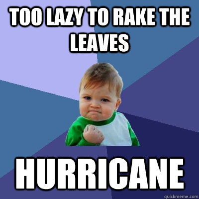 Too lazy to rake the leaves Hurricane  Success Kid