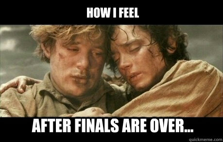 How I feel After finals are over... - How I feel After finals are over...  Lord of the Rings Homework