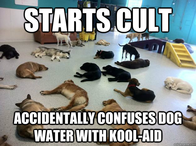 starts cult accidentally confuses dog water with Kool-aid - starts cult accidentally confuses dog water with Kool-aid  Cult dogs
