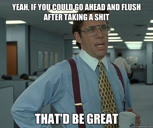 Yeah, if you could go ahead and flush after taking a shit That'd be great  