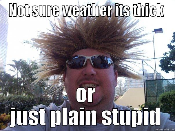 NOT SURE WEATHER ITS THICK OR JUST PLAIN STUPID Misc