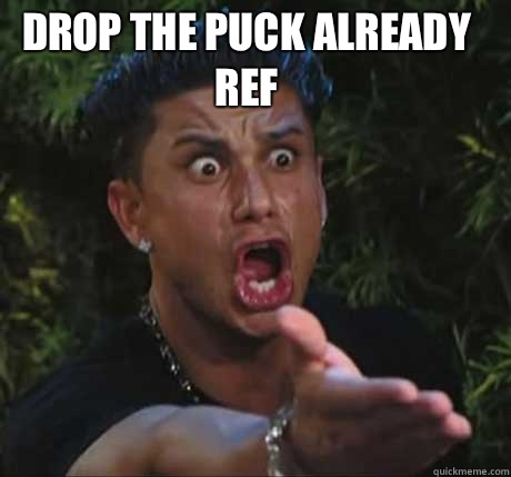 Drop the puck already ref   Dj Pauly D