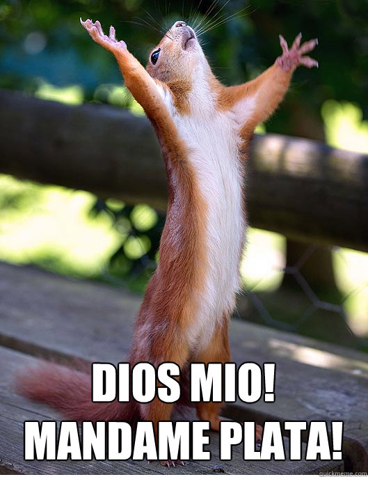 Dios mio!
mandame plata!  Hallelujah Squirrel