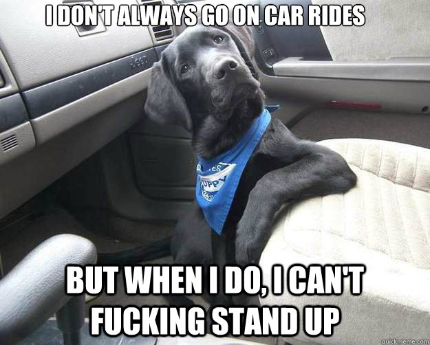 I don't always go on car rides But when I do, I can't fucking stand up - I don't always go on car rides But when I do, I can't fucking stand up  The Most Interesting Dog in the World