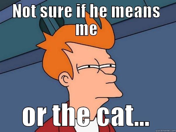 NOT SURE IF HE MEANS ME OR THE CAT... Futurama Fry