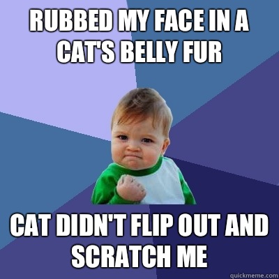 Rubbed my face in a cat's belly fur Cat didn't flip out and scratch me  Success Kid