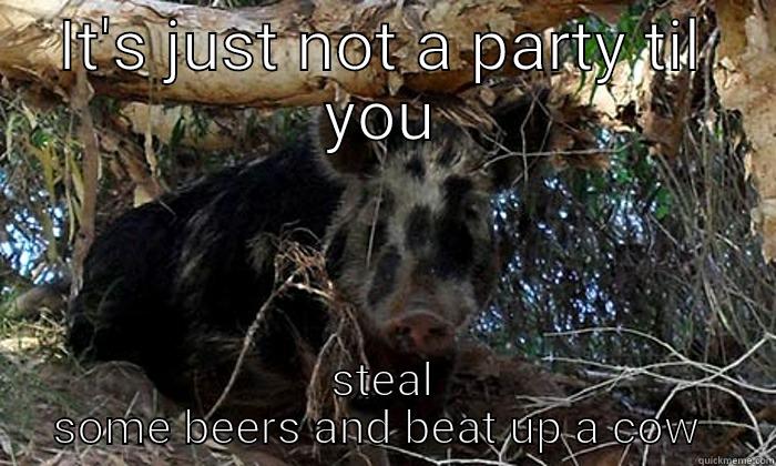 IT'S JUST NOT A PARTY TIL YOU STEAL SOME BEERS AND BEAT UP A COW  Misc