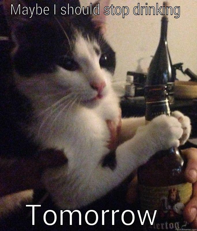 Pondering cat - MAYBE I SHOULD STOP DRINKING  TOMORROW  Misc