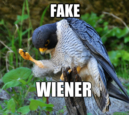 fake wiener  Success Falcon
