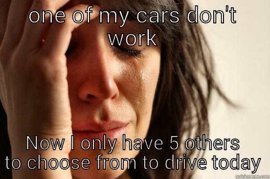 ONE OF MY CARS DON'T WORK NOW I ONLY HAVE 5 OTHERS TO CHOOSE FROM TO DRIVE TODAY First World Problems