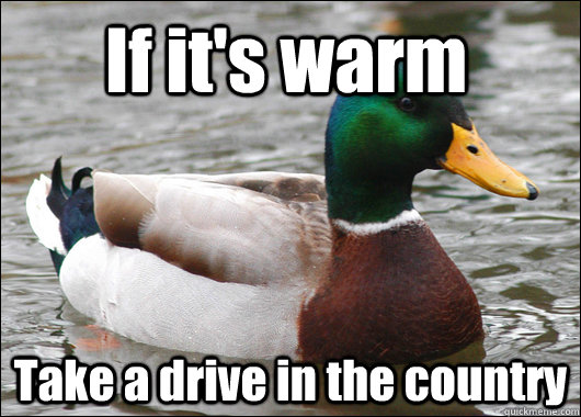 If it's warm Take a drive in the country  Actual Advice Mallard