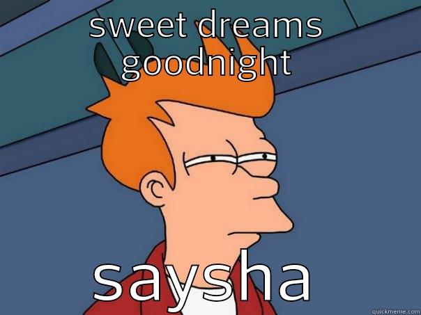 SWEET DREAMS GOODNIGHT SAYSHA Futurama Fry