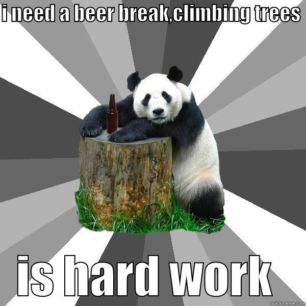 what are you looking at cant a bear drink beer in peace  - I NEED A BEER BREAK,CLIMBING TREES  IS HARD WORK  Pickup-Line Panda