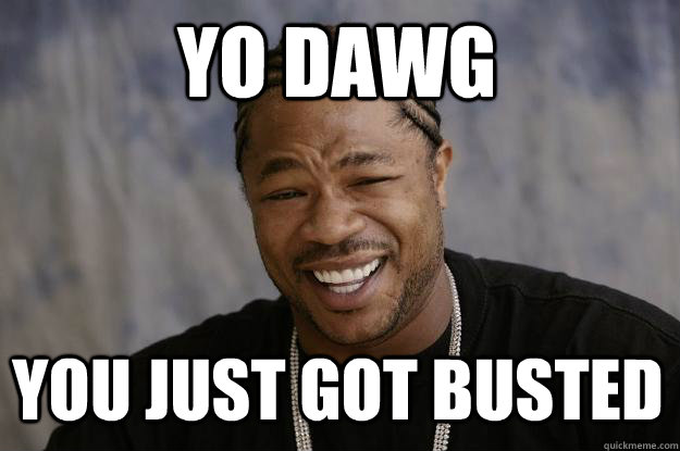 YO DAWG You just got BUSTED  Xzibit meme