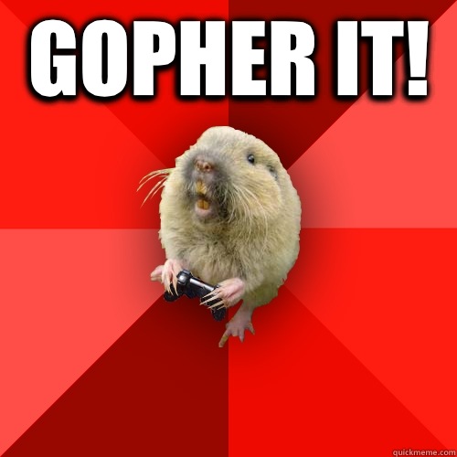 Gopher it!   Gaming Gopher