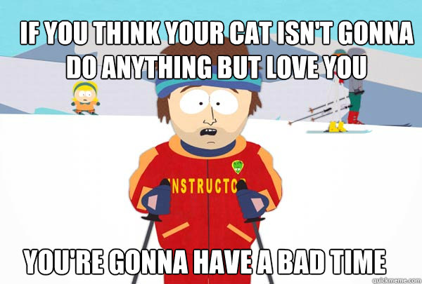if you think your cat isn't gonna do anything but love you You're gonna have a bad time  Super Cool Ski Instructor