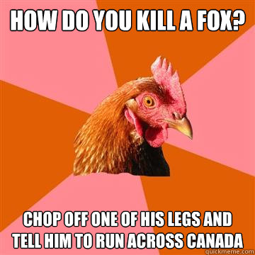 How do you kill a fox? Chop off one of his legs and tell him to run across Canada  Anti-Joke Chicken