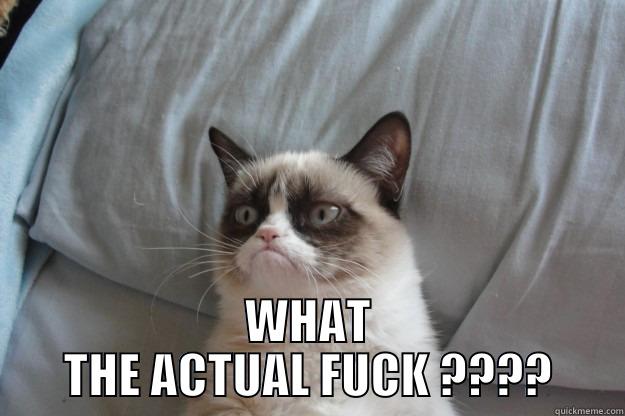  WHAT THE ACTUAL FUCK ???? Grumpy Cat