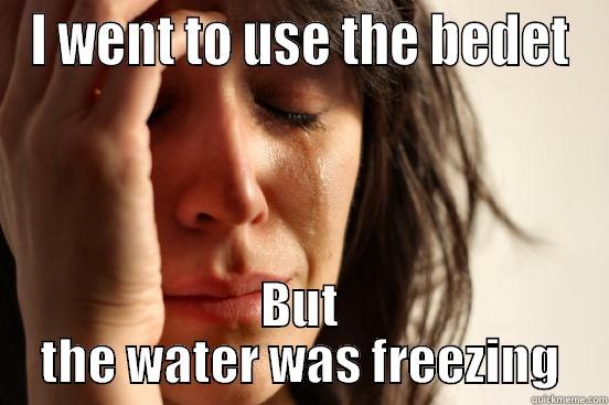 I WENT TO USE THE BEDET BUT THE WATER WAS FREEZING First World Problems