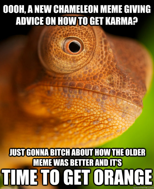 Oooh, a new chameleon meme giving advice on how to get karma? Just gonna bitch about how the older meme was better and it's Time to get orange  