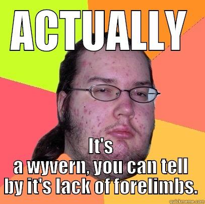 ACTUALLY IT'S A WYVERN, YOU CAN TELL BY IT'S LACK OF FORELIMBS. Butthurt Dweller