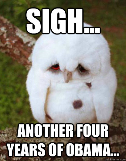 Sigh... Another four years of Obama...  Depressed Owl