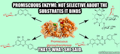 Promiscuous Enzyme: Not selective about the substrates it binds 
That's what she said. - Promiscuous Enzyme: Not selective about the substrates it binds 
That's what she said.  substrate lover