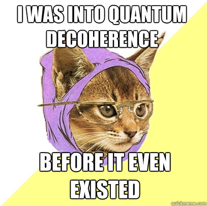 I was into quantum decoherence before it even existed  Hipster Kitty