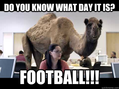 Do you know what day it is? FOOTBALL!!!  Hump Day Camel