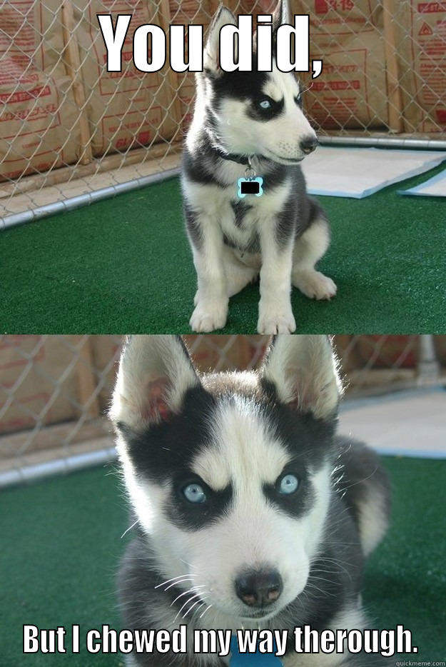 YOU DID,  BUT I CHEWED MY WAY THEROUGH. Insanity puppy