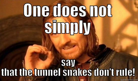 ONE DOES NOT SIMPLY SAY THAT THE TUNNEL SNAKES DON'T RULE! Boromir