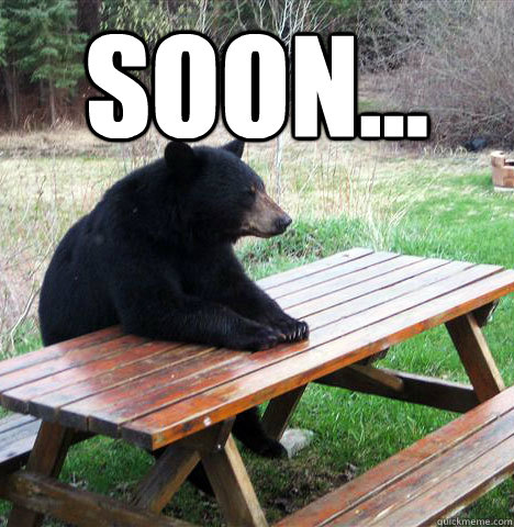 SOON...   waiting bear
