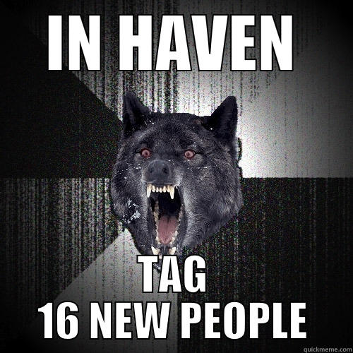IN HAVEN TAG 16 NEW PEOPLE Insanity Wolf