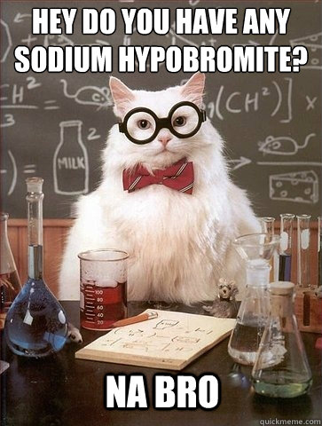 Hey Do you have any Sodium Hypobromite? Na Bro  Chemistry Cat