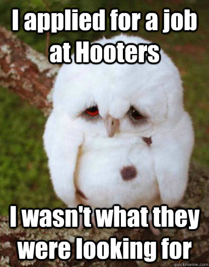 I applied for a job at Hooters                                                                                                                                     I wasn't what they were looking for - I applied for a job at Hooters                                                                                                                                     I wasn't what they were looking for  Depressed Baby Owl