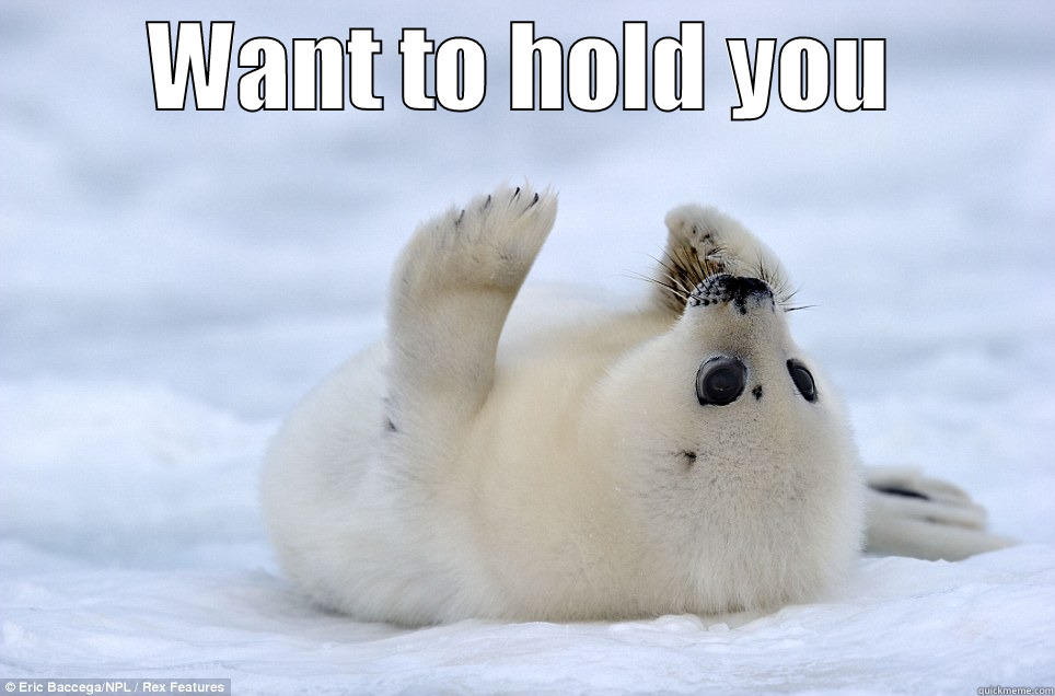 Hold seal - WANT TO HOLD YOU  Misc