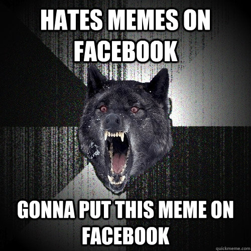 hates memes on facebook gonna put this meme on facebook  Insanity Wolf