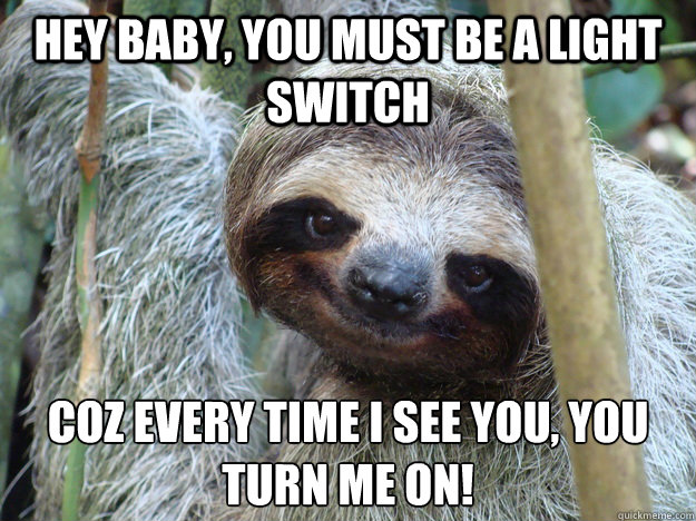Hey baby, you must be a light switch coz every time I see you, you turn me on! 
 - Hey baby, you must be a light switch coz every time I see you, you turn me on! 
  Pickup-Line-Sloth