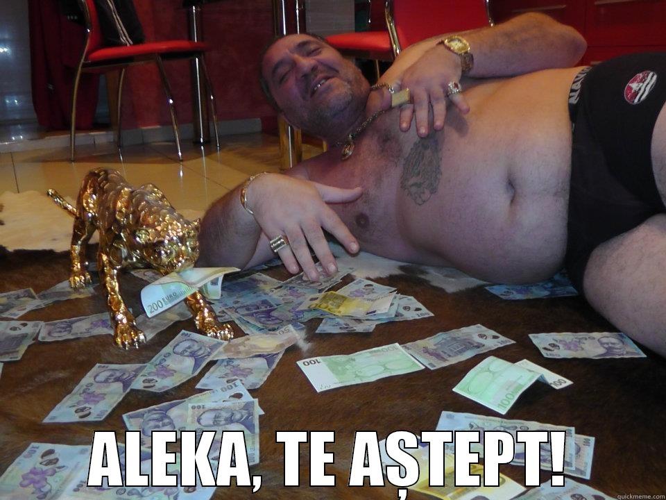  ALEKA, TE AȘTEPT! Misc