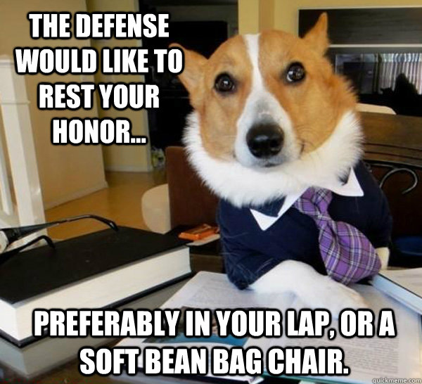 The defense would like to rest your honor... preferably in your lap, or a soft bean bag chair.  Lawyer Dog