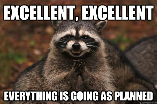 excellent, excellent everything is going as planned  Evil Plotting Raccoon