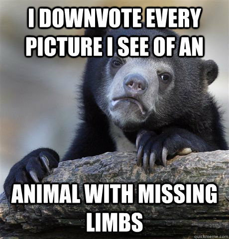 I downvote every picture i see of an animal with missing limbs  Confession Bear
